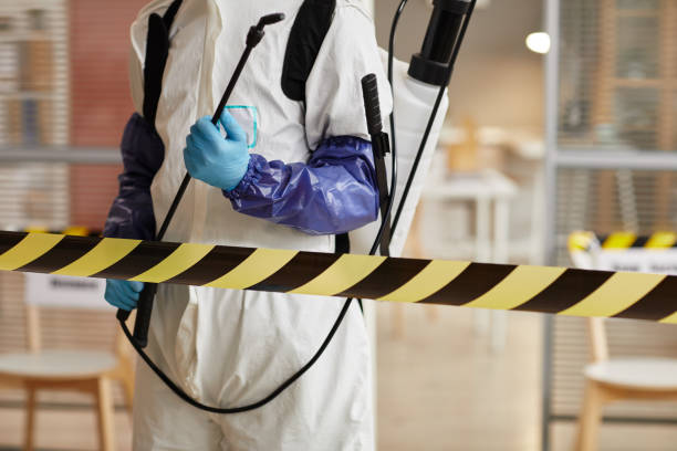 Professional Blood Cleanup technician working in Henderson, TX